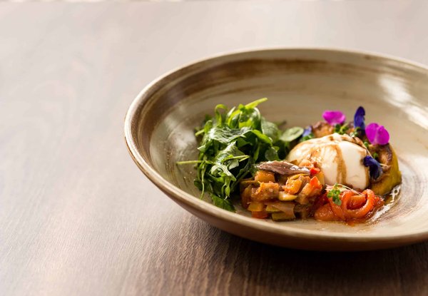 Que faut-il retenir sur l'amlou ?