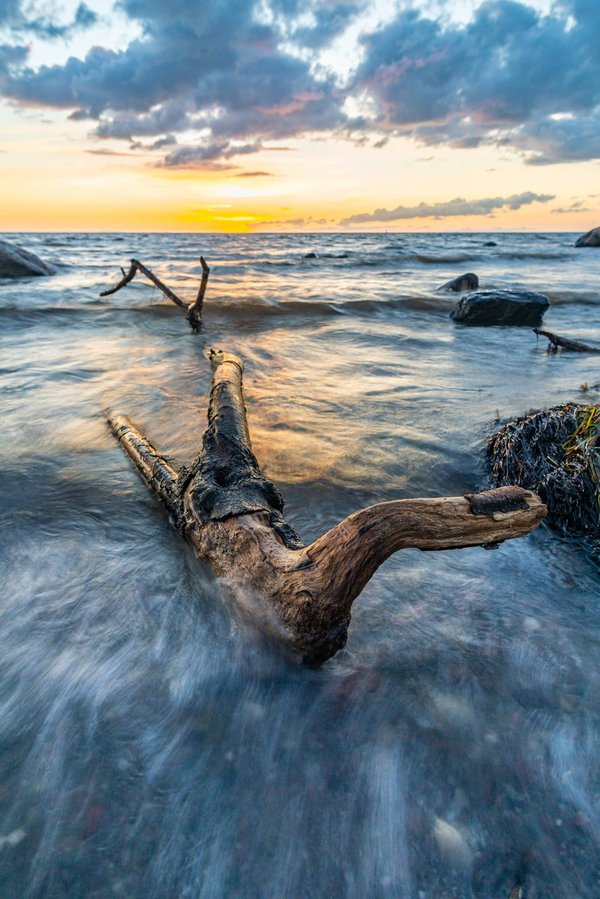 Quels sont les critères pour choisir une poêle à frire adaptée à la cuisine végane?